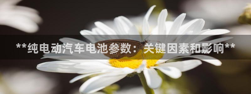 优发国际注册平台是什么