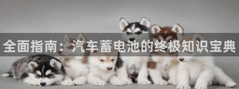 优发国际官网手机版下载安装