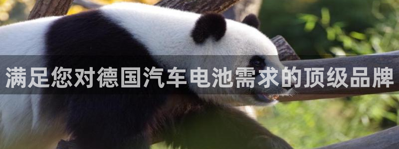 优发国际vip网址
