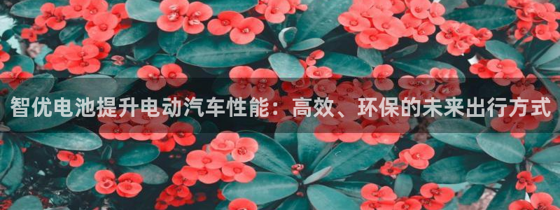优发国际娱乐官网多少?