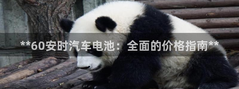 优发国际官网入口app下载安装