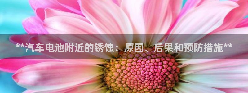 优发国际官方下载app