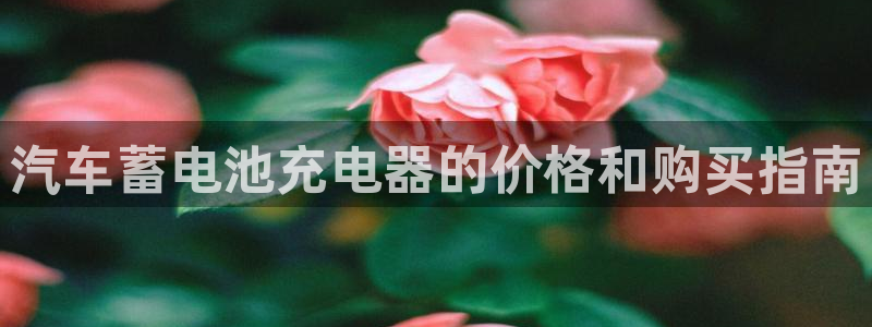 优发国际平台u8是什么