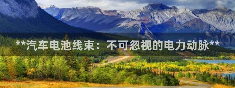 优发国际官网网站首页