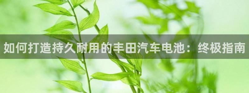 优发国际手机版网站入口