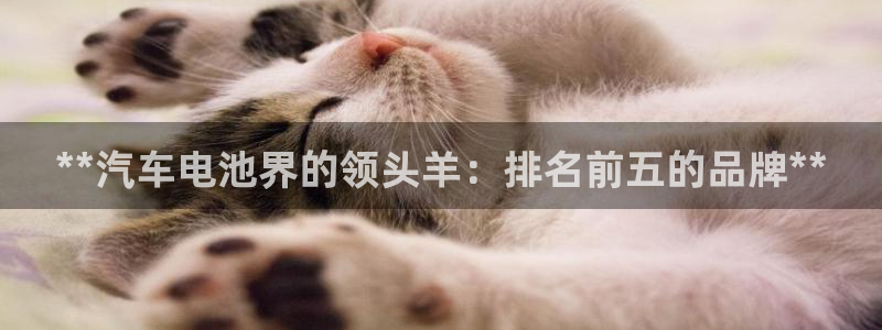 优发国际官网登陆