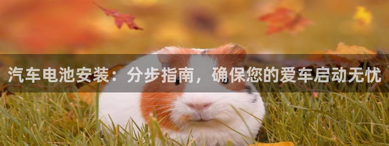 优发国际app官网下载安装手机版