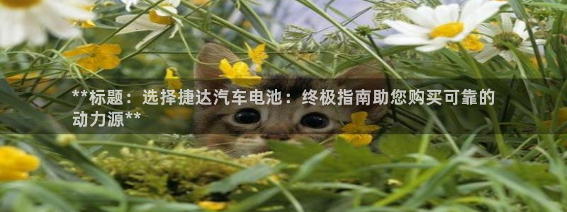 优发国际官网下载安装