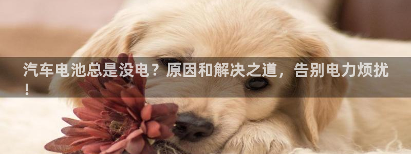 优发国际官网手机号