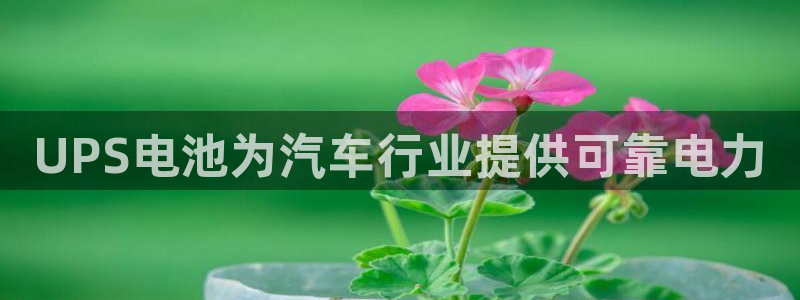 优发国际合并到哪里了