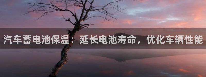 优发国际平台g80