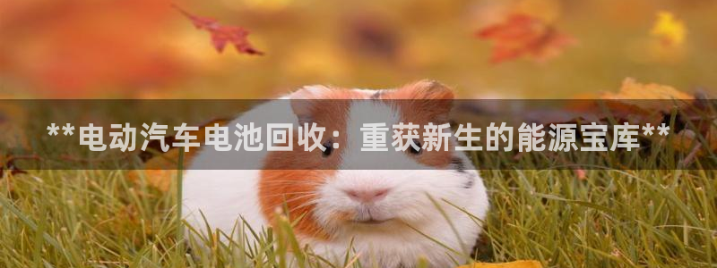 优发国际官方下载app
