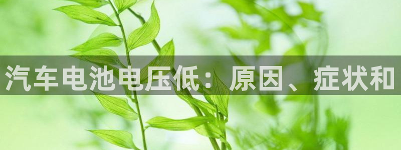 优发国际官网手机版下载安卓