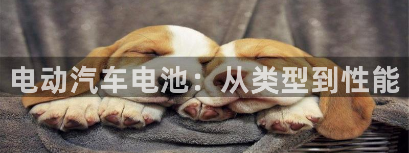 优发国际youfa