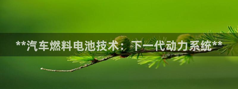 优发国际平台手机版下载