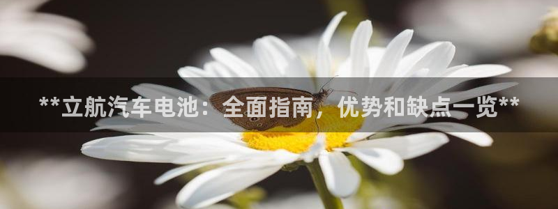 优发国际手机app下载安装