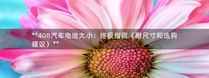 优发国际youfa