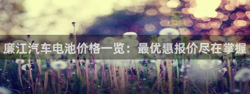 优发国际集团股份有限公司