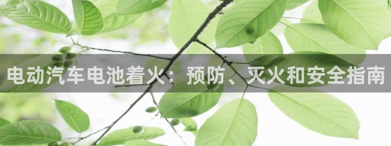 优发国际的官网是什么软件