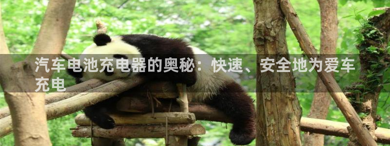 优发国际平台手机版下载官网