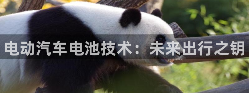 优发国际是大平台吗知乎