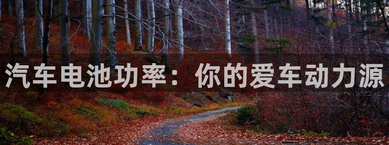 优发国际合并到哪里了啊