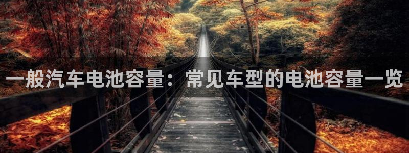 优发国际官方网手机版