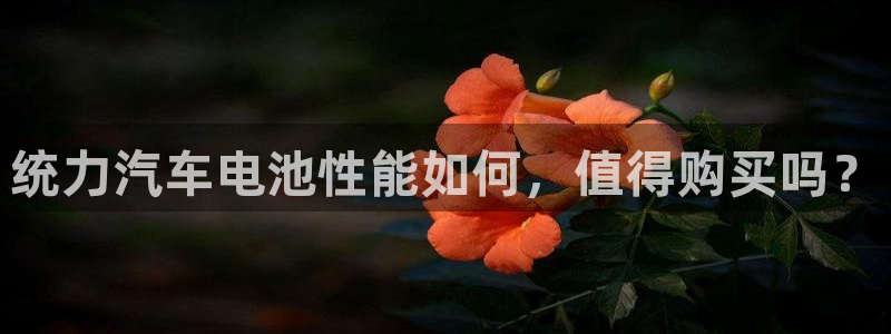 优发国际手机版下载