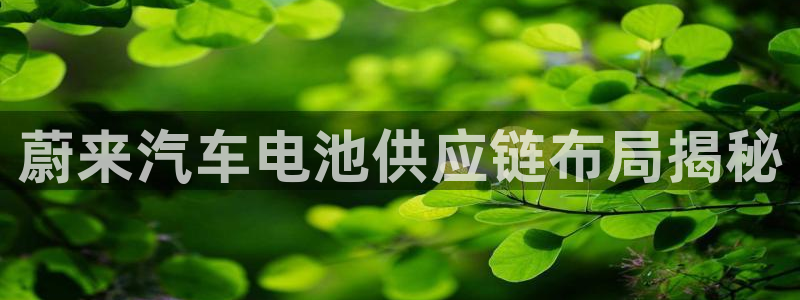 优发国际官方网手机版入口