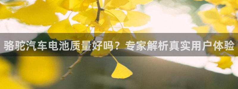 优发国际游戏n