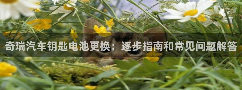 优发国际官方网平台是正品吗