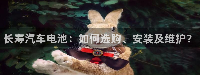 优发国际官网手机版入口