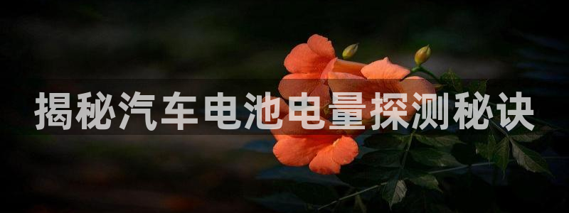 优发国际手机版网站官网