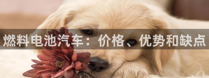 优发国际首页首页y6