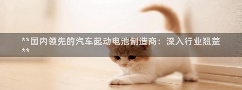 优发国际平台app下载安装