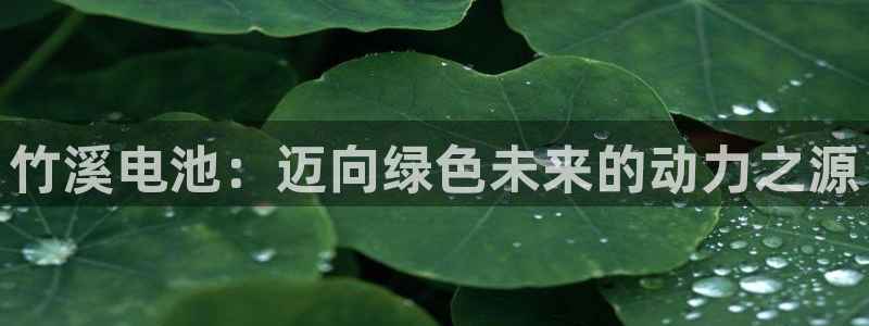 优发国际是合法的吗