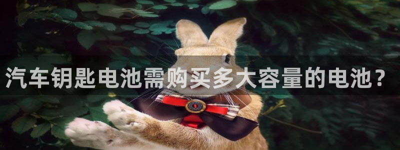 优发国际官网qy88