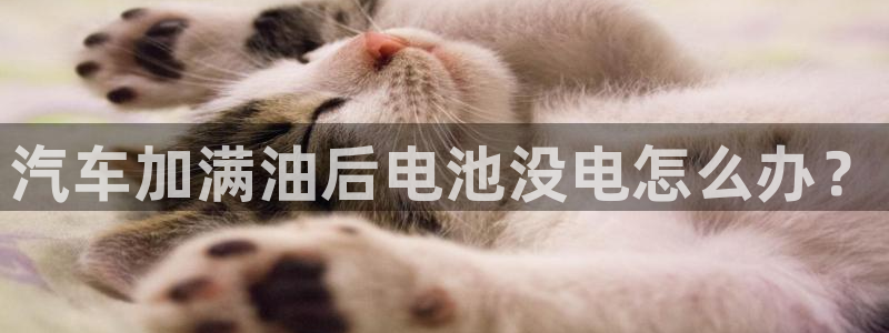 优发国际手机客户端