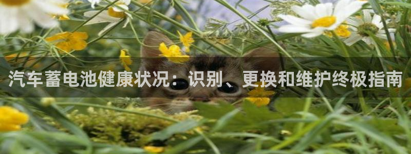 优发国际游戏官方网站入口