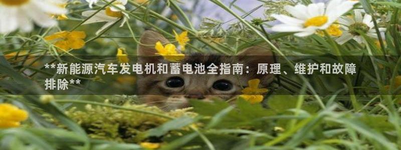 优发国际软件下载官网