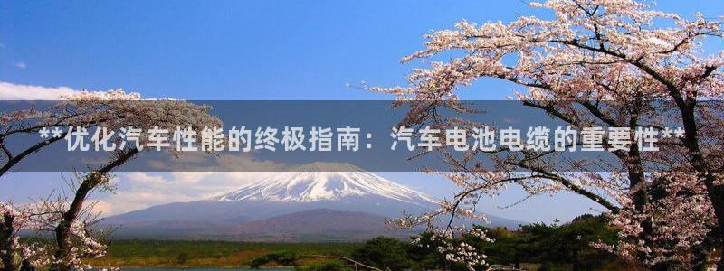 优发国际平台手机版下载官网