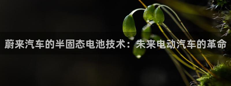 优发娱乐pt官网客户端