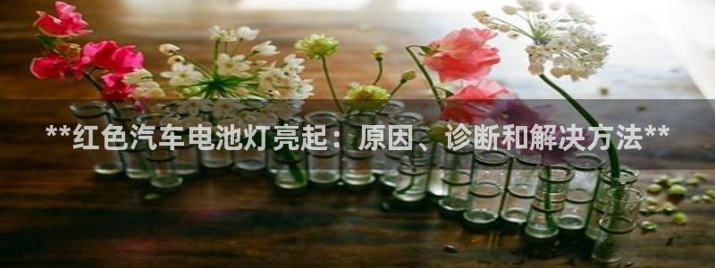 优发国际平台app下载安装