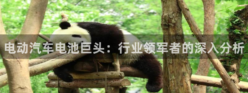 优发国际手机客户端下载安装苹果：电动汽车电池巨头：行业领军者的深入分析