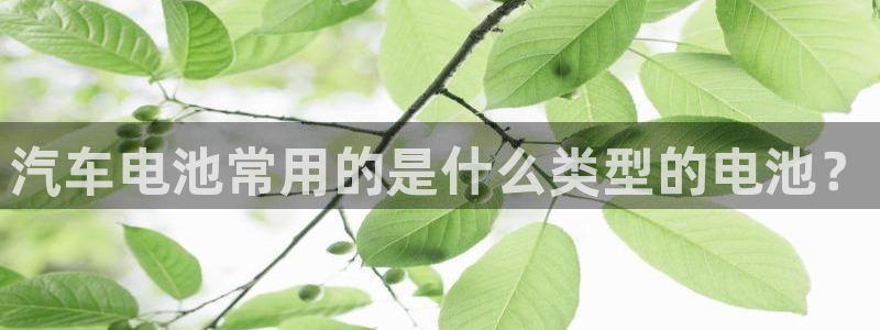 优发国际youfa