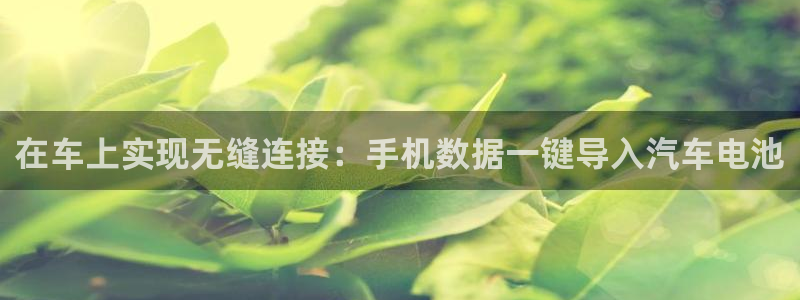 优发国际app官网下载安装