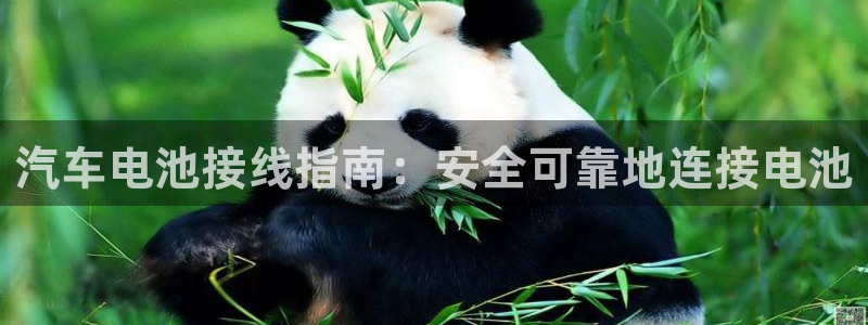 优发国际首页app
