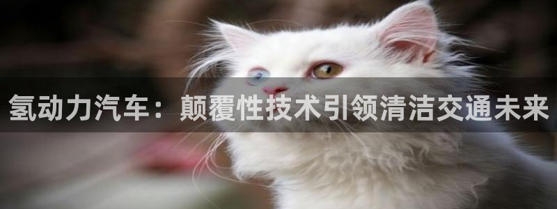 优发国际集团股份有限公司