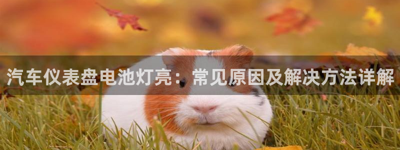 优发国际手机客户端官网