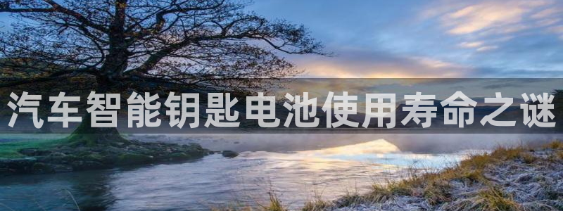 优发国际bob